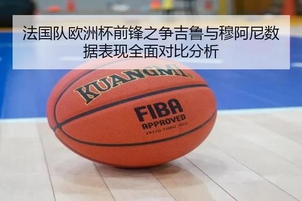 法国队欧洲杯前锋之争吉鲁与穆阿尼数据表现全面对比分析