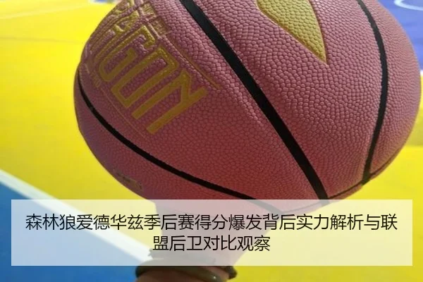 森林狼爱德华兹季后赛得分爆发背后实力解析与联盟后卫对比观察